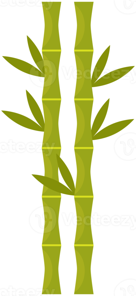 bâtons de bambou vert avec des feuilles png