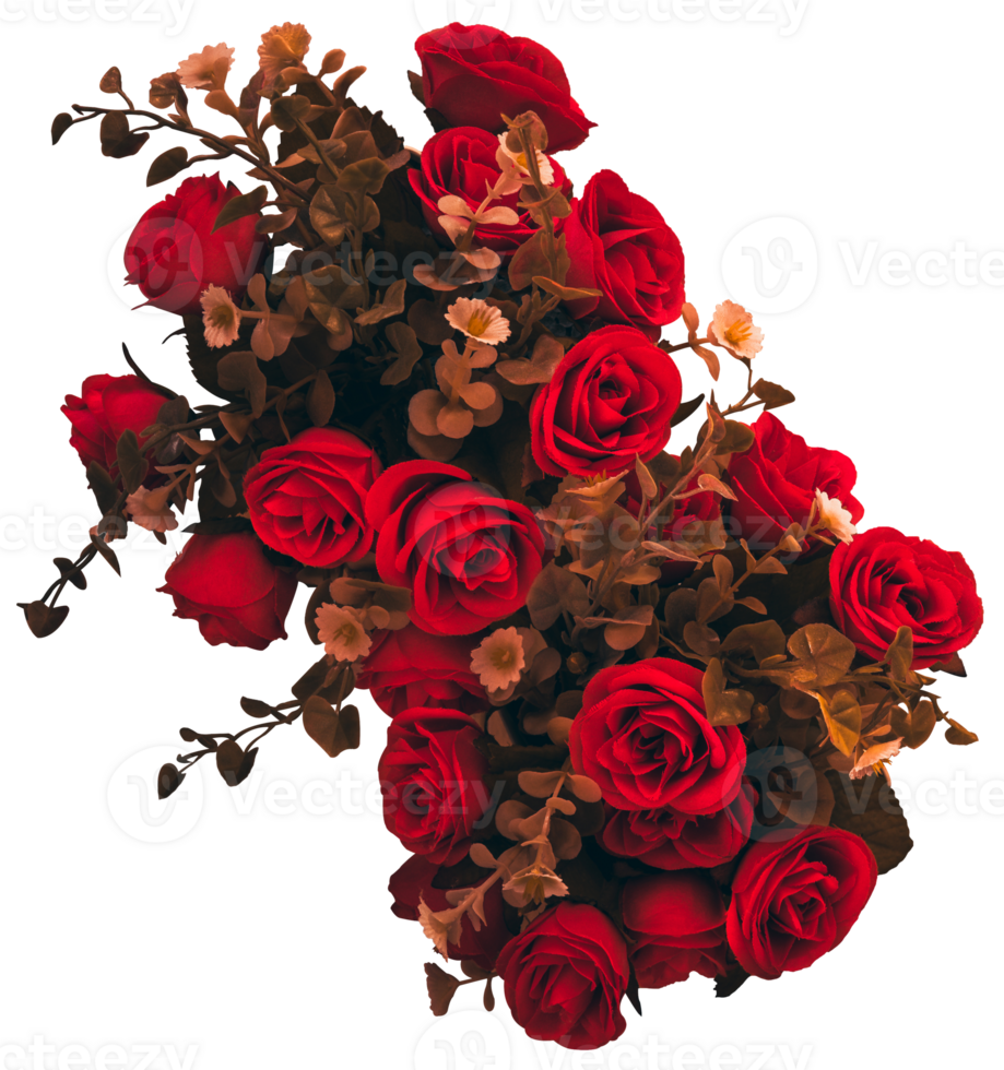 Red flowers isolated png