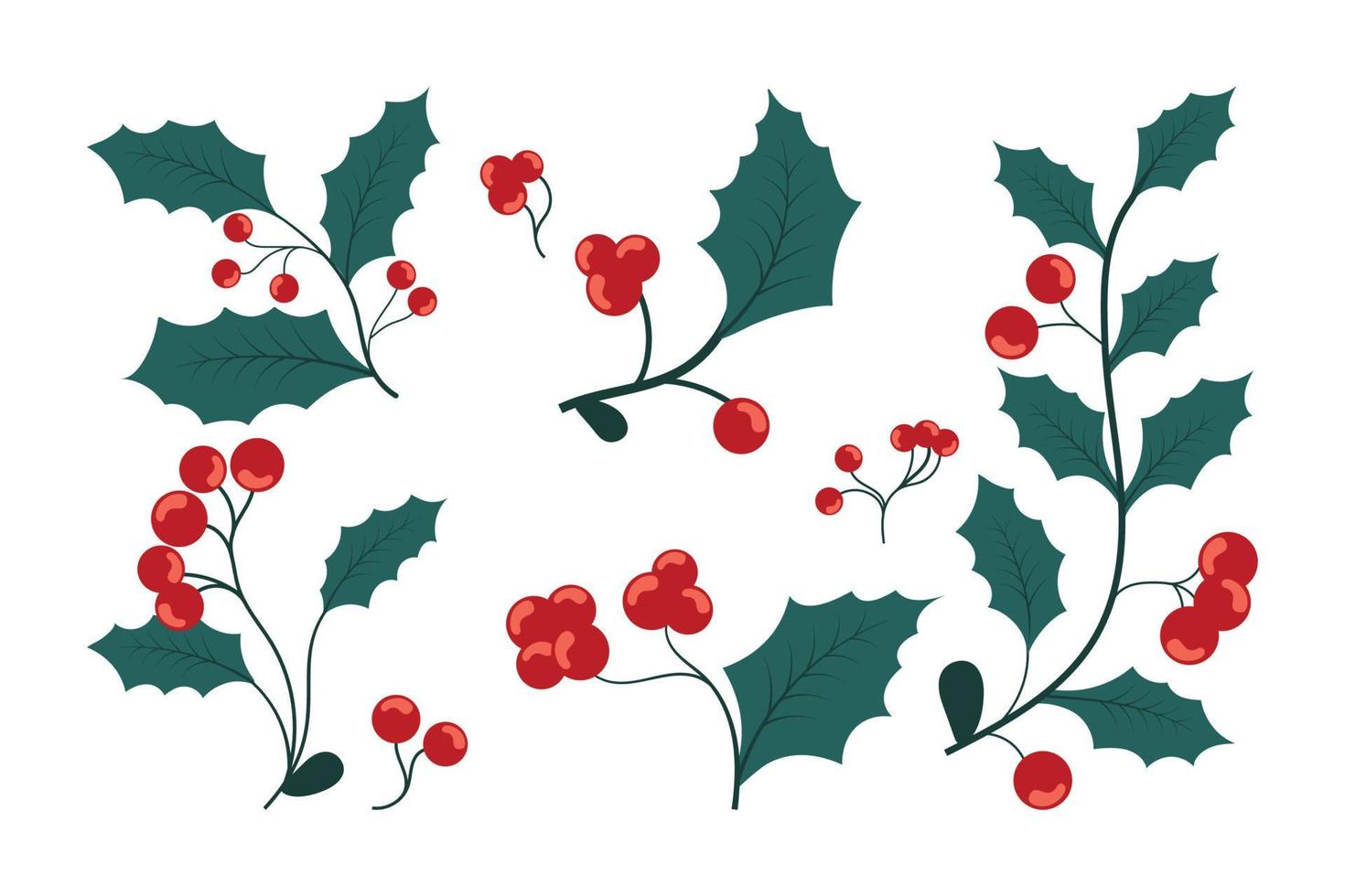 hojas de acebo con colección de frutos rojos. conjunto de elementos de muérdago de navidad vector