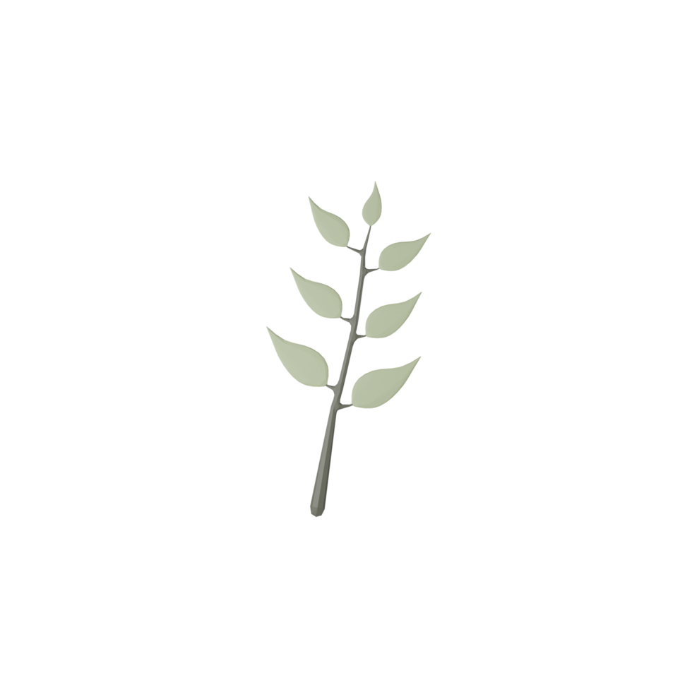 3D Isolated Small Leaves png