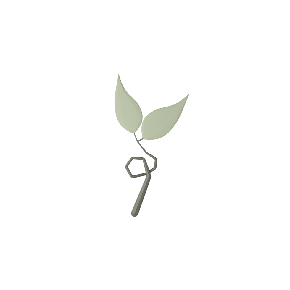 3D Isolated Small Leaves png