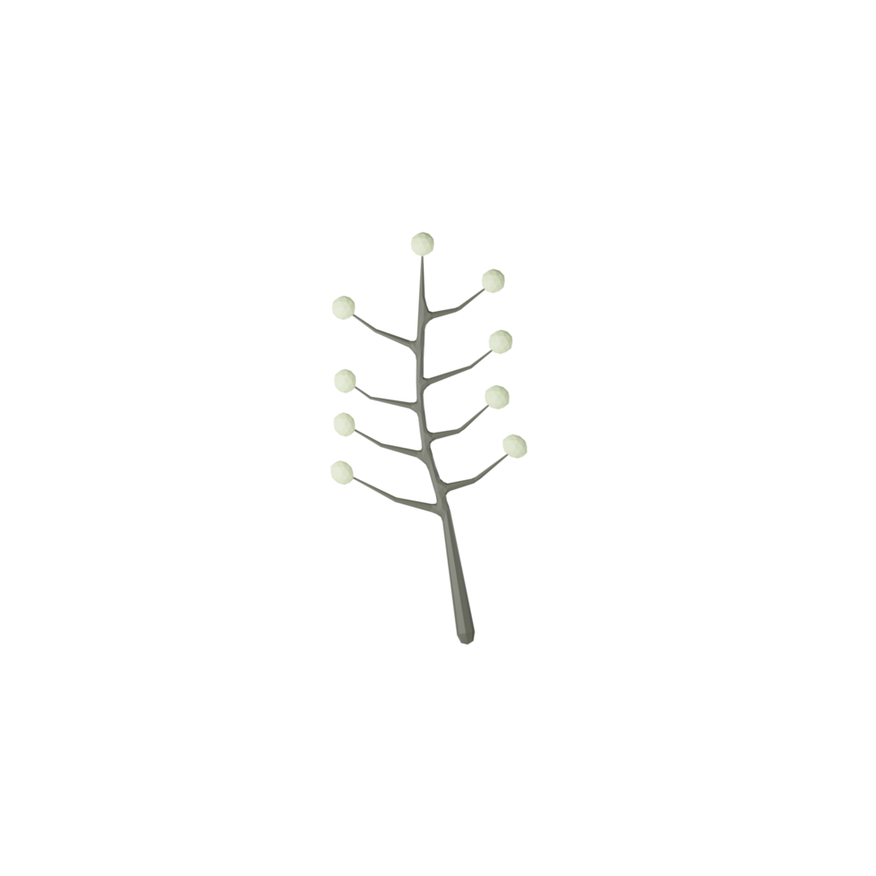 3D Isolated Small Leaves png