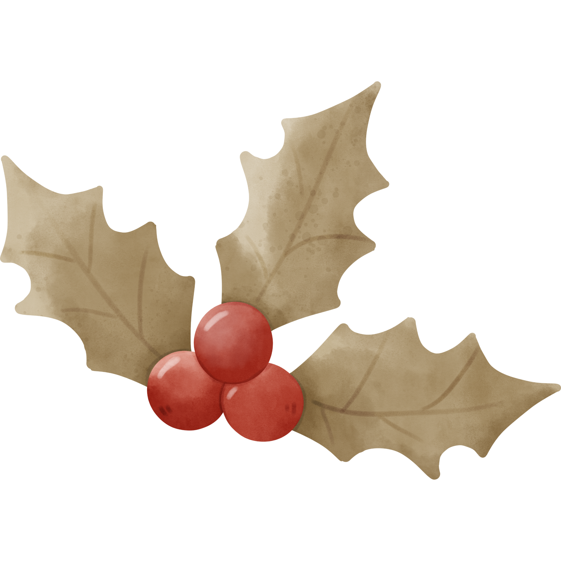 Watercolor Christmas Flower 11729400 PNG