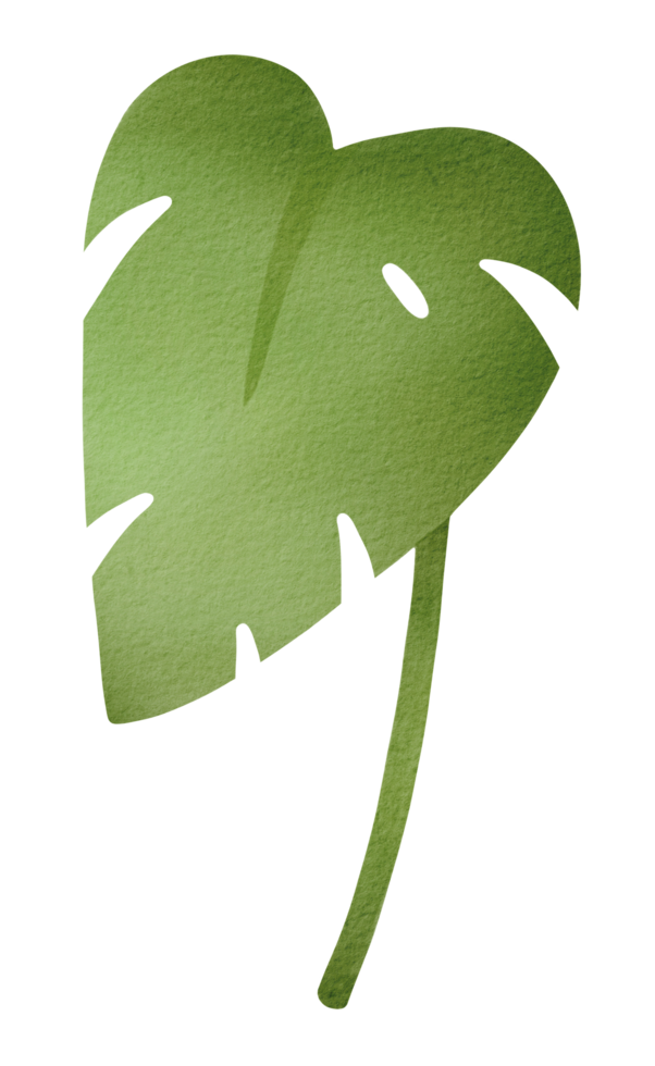 Green Leaves Watercolor png