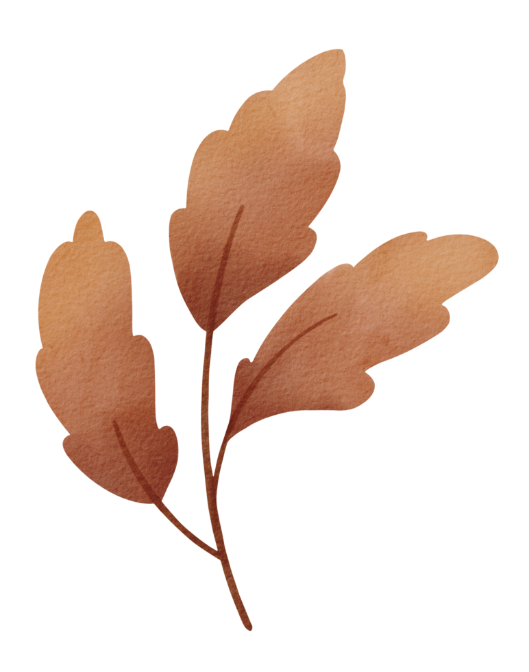 Autumn leaves watercolor png