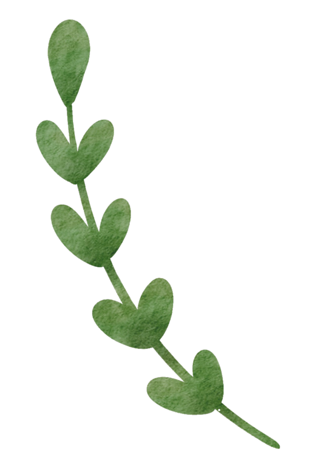 groene bladeren aquarel png