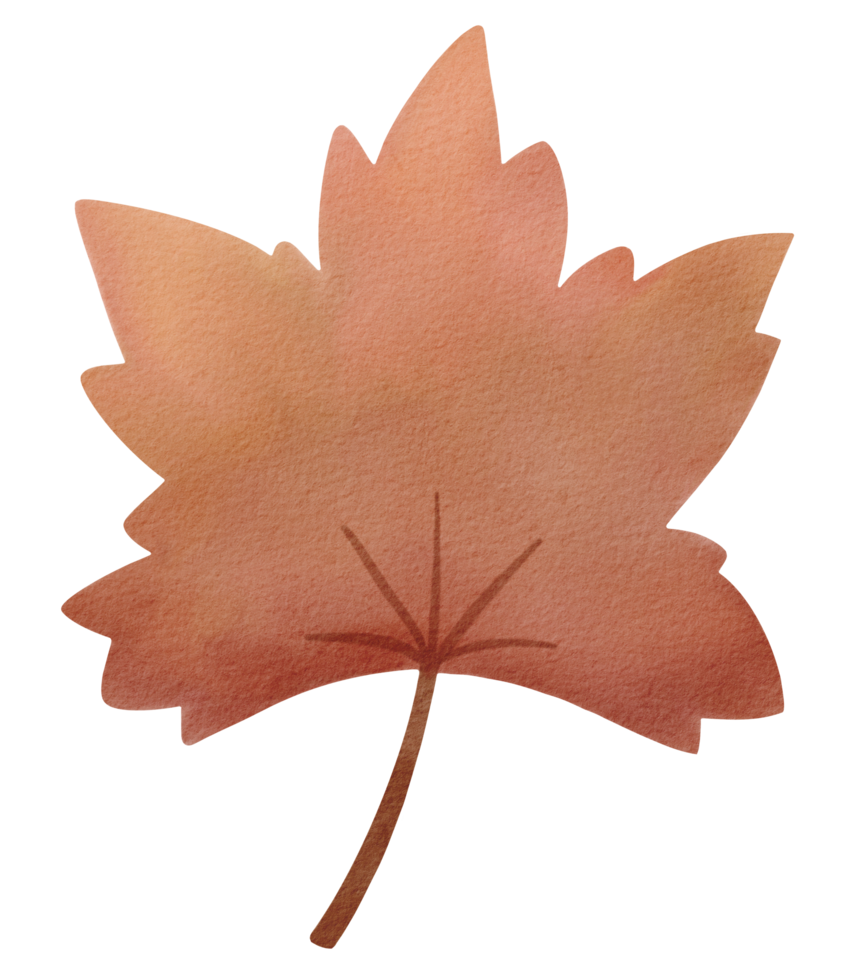 Autumn leaves watercolor png