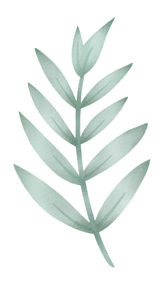 Green Leaves Watercolor png