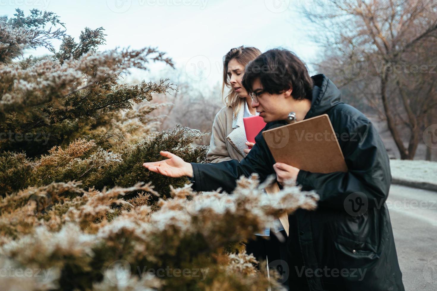 Scientists are studying plant species in the forest. photo