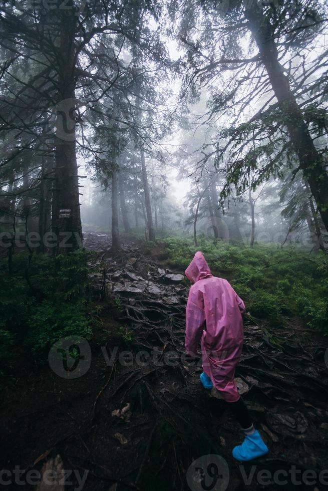 Woman in a raincoat walks through the forest in the rain, rear view photo