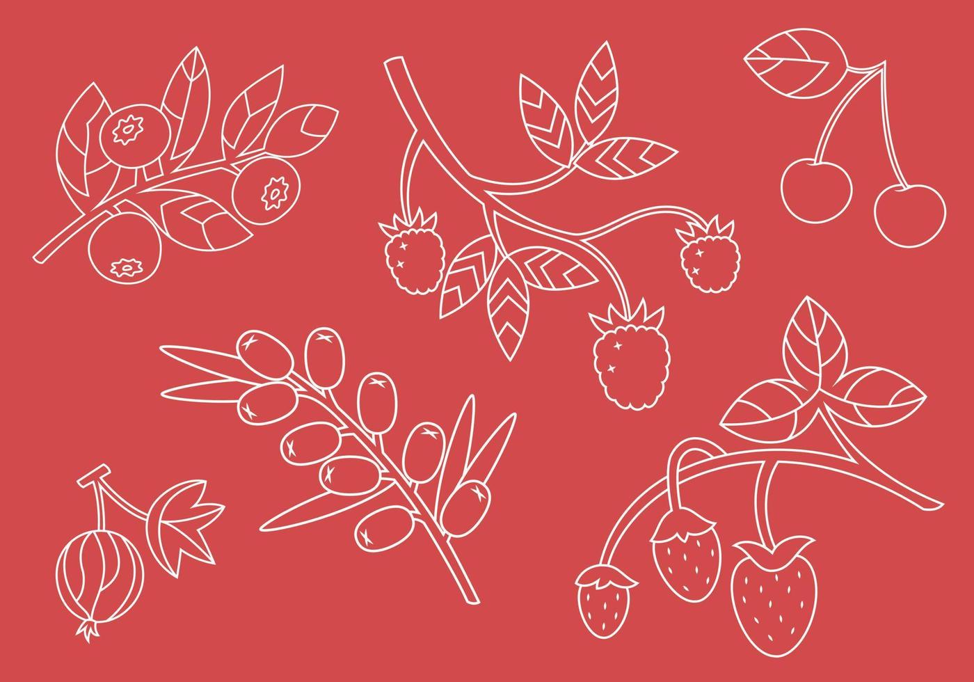 Set of different berry twigs. Natural food in outline style. vector