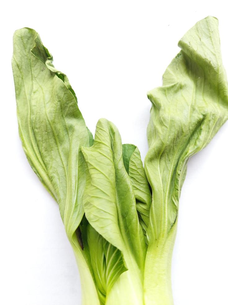 Mustard greens or Pakcoy leaves look wilted because they are cold and moist ready to be cooked, on a white background photo