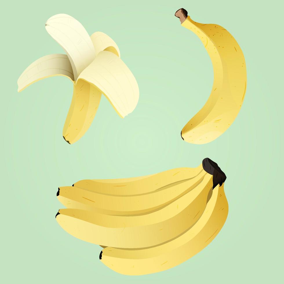 Cartoon bananas set. Peeled banana and bunch of bananas. Tropical fruits collection. Isolated vector illustration