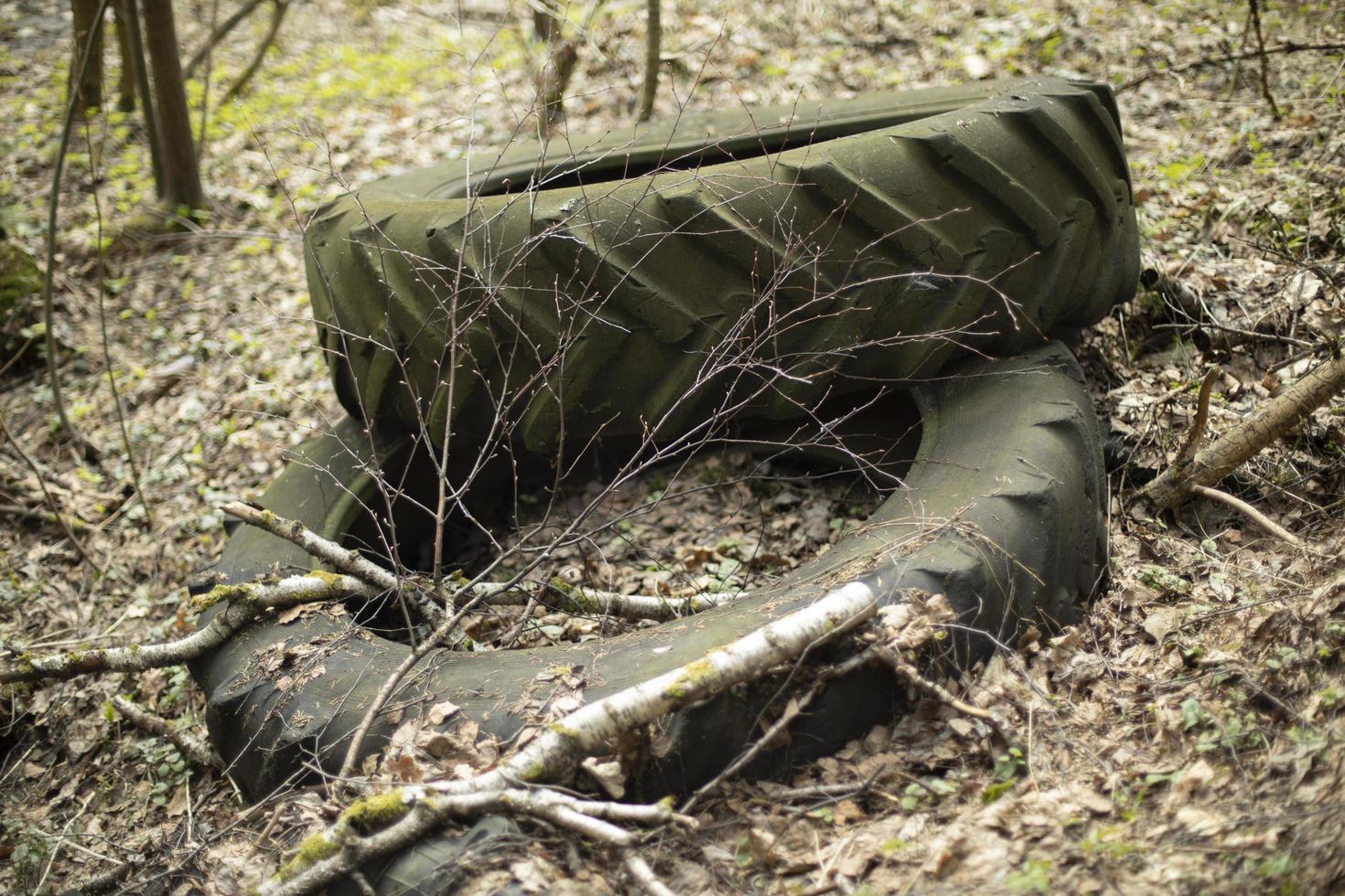 Wheel in woods. Tire from tractor in landfill. photo