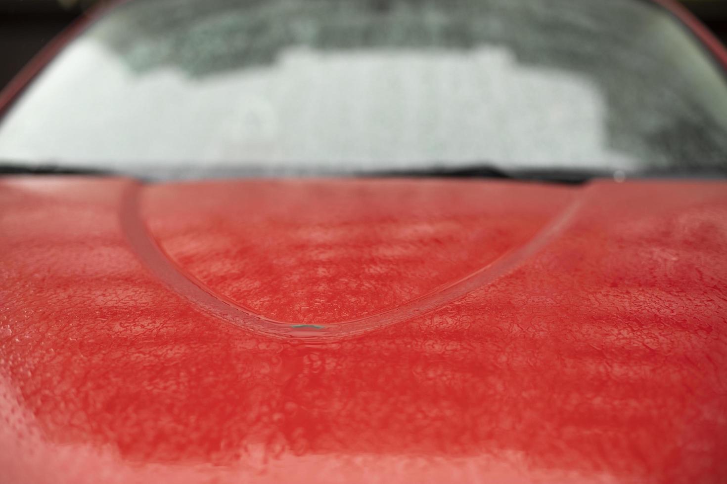 Red hood of car. Wet transport. photo