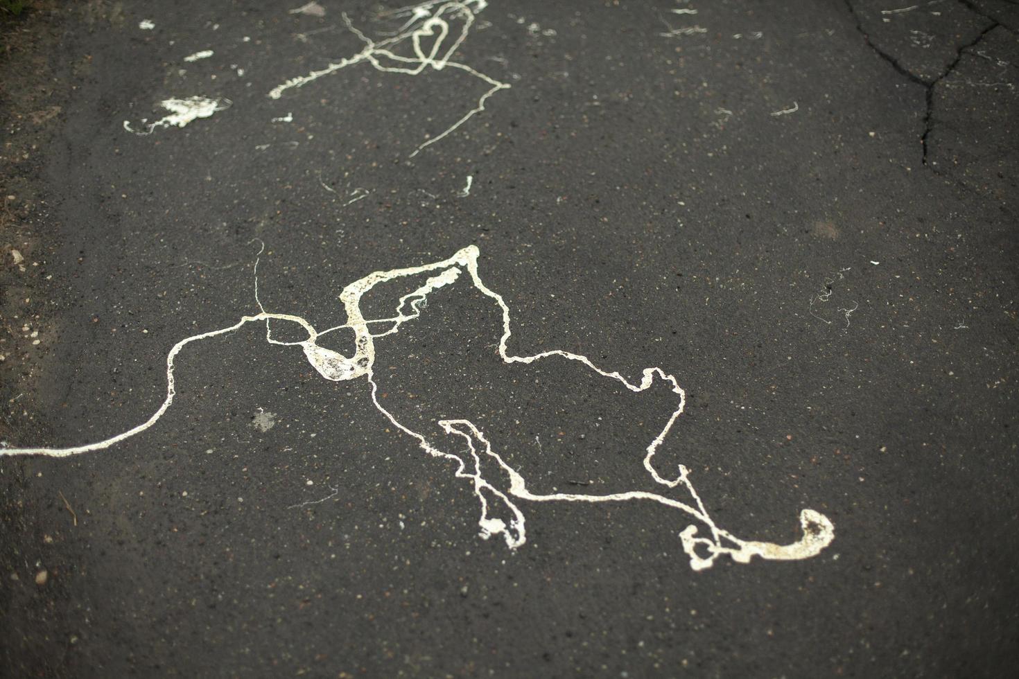 Paint on asphalt. Splashes of white paint on road. Soiled surface. photo