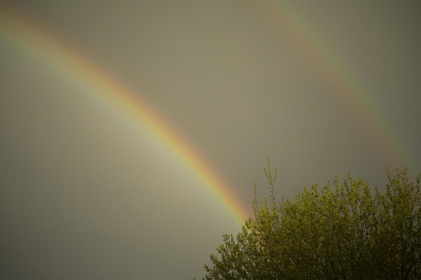 arcoiris en el cielo. refracción de la luz. tiempo después de la lluvia. arco brillante de diferentes colores. foto