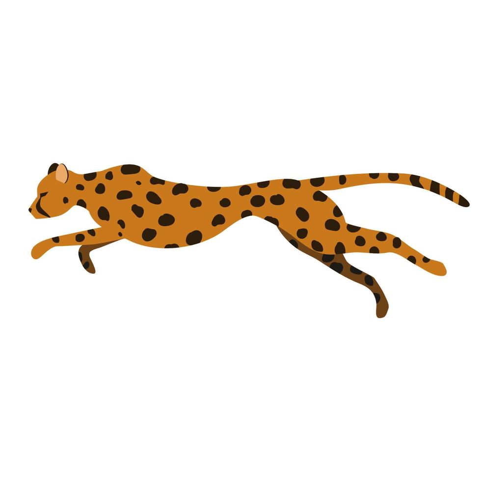 Jaguar in a jump, vector illustration
