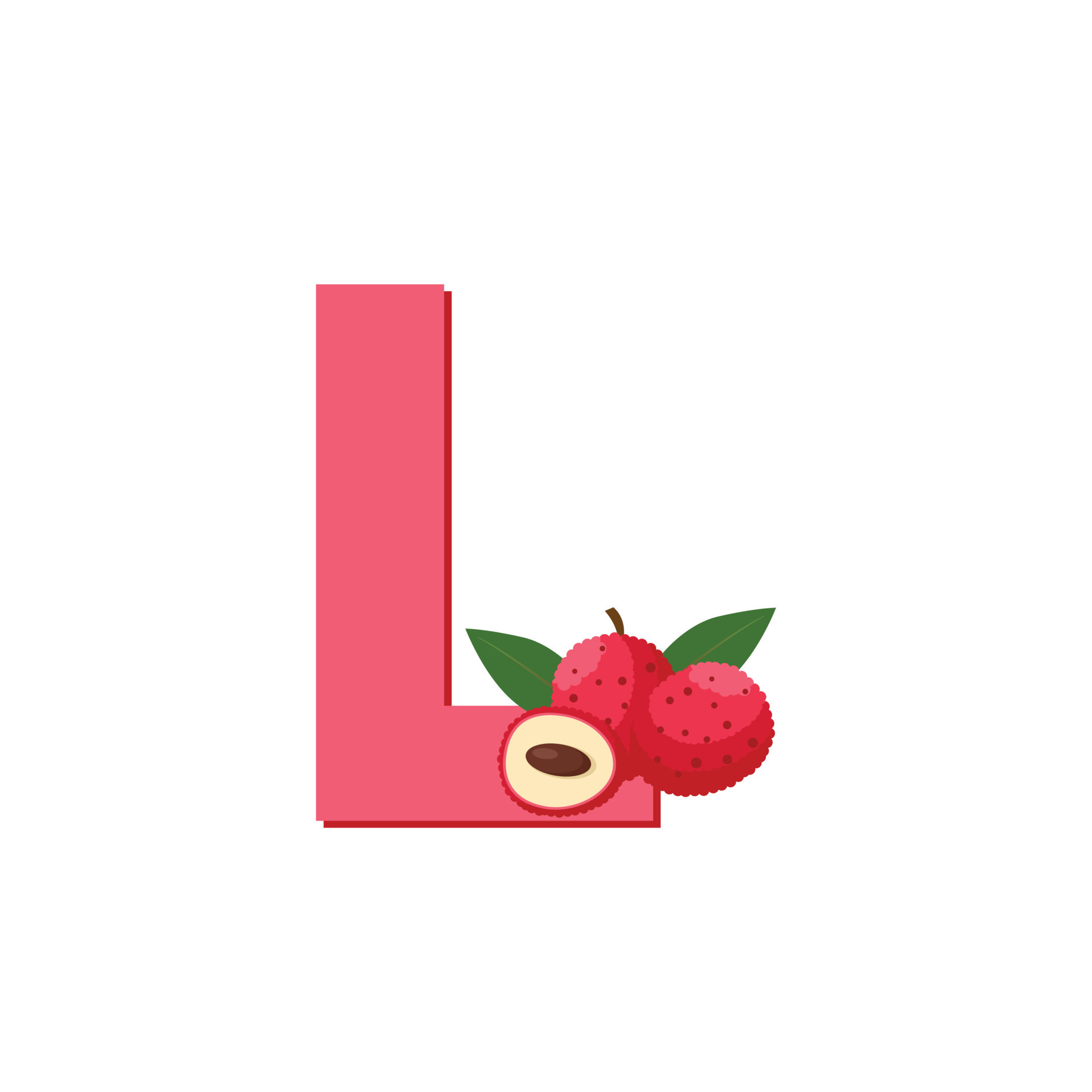 letra l alfabeto frutas lichi, vector de imágenes prediseñadas