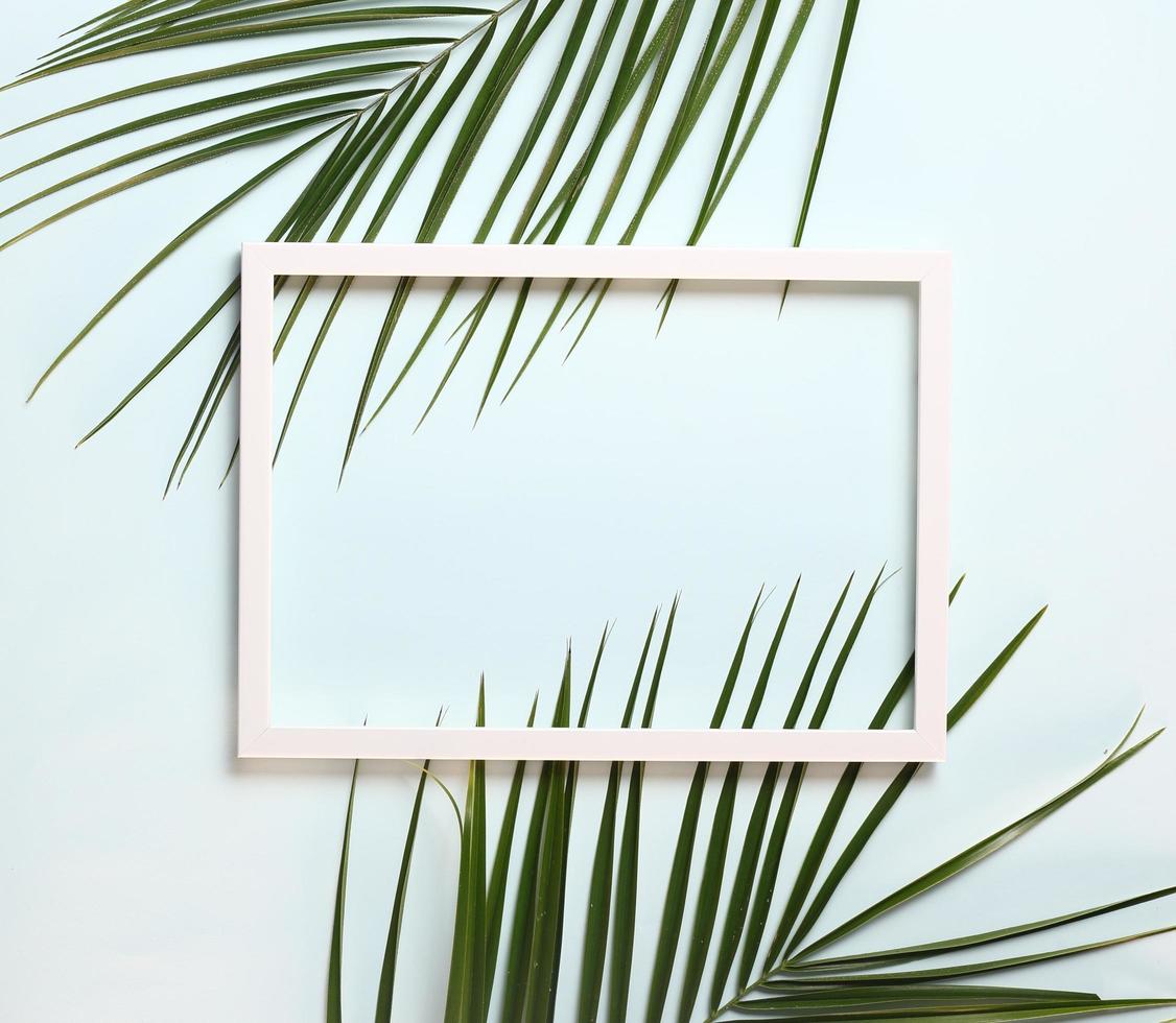 Nature composition  made of palm leaves on pastel blue background , copy space , top view photo