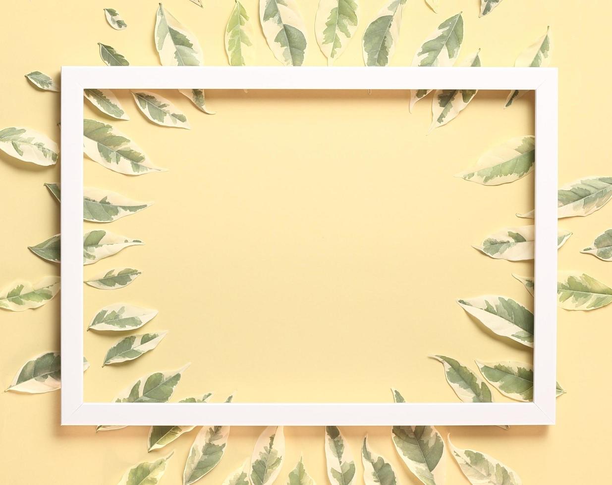 Beautiful nature background - Top view many leaves arrange on pastel yellow background photo