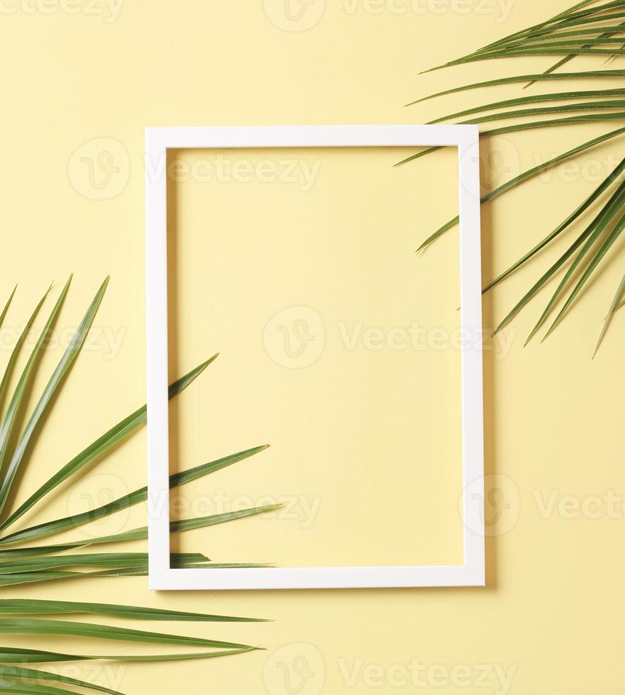 Leaves composition - green palm leaves and white frame photo