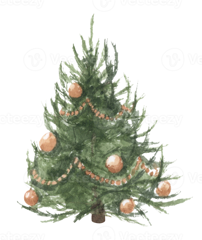 Watercolor illustration of Christmas tree. png
