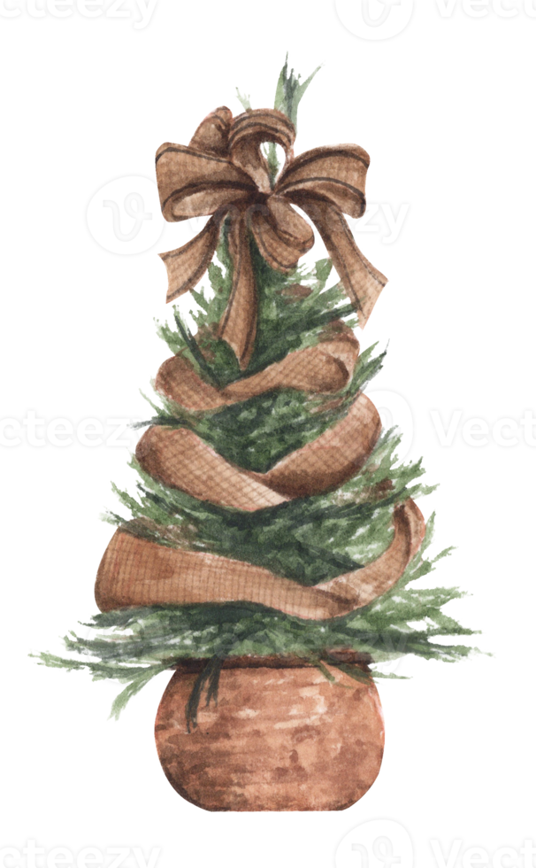 Watercolor illustration of Christmas tree. png