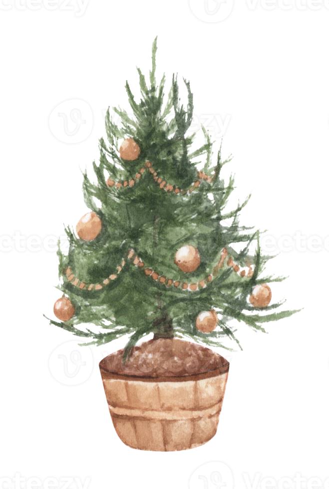 Watercolor illustration of Christmas tree. png