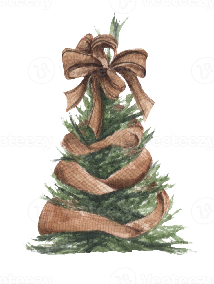 Watercolor illustration of Christmas tree. png