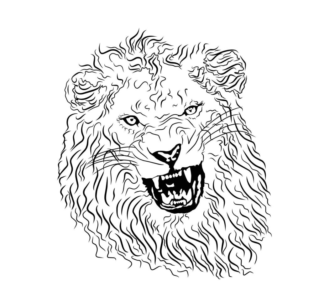 Lion line art illustration. Vector Sketch.