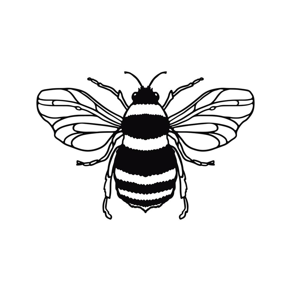 Honey Bee hand-drawn outline doodle isolated on white background. Design Mascot Vector Illustration. Concept logotype for packaging, coloring book