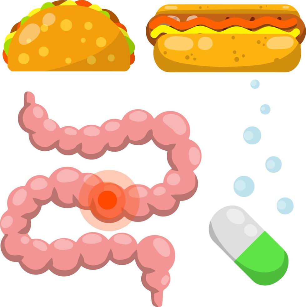 intestino. sistema digestivo humano. mancha roja enferma. píldora médica para la indigestión. comida rápida chatarra, hot dog, tacos. ilustración plana de dibujos animados. conjunto de objetos de hospital. vector