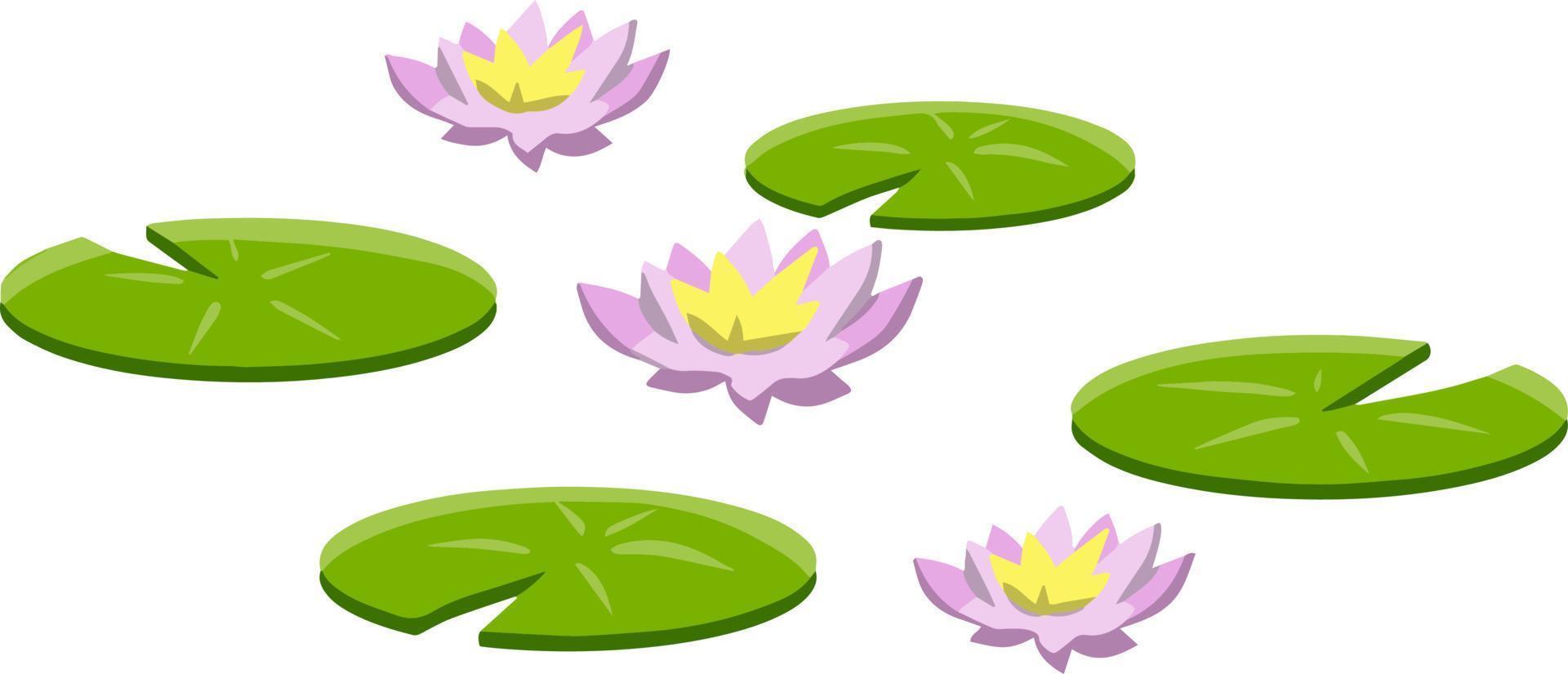 Nenuphars. Water lily. Plant on lake and reservoir. Big green leaf. Element of nature, forest and wild life. Swamp Pink flowers. Flat cartoon vector