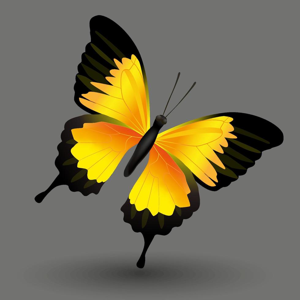 icono de mariposa 3d. insecto mariposa realista con hermosas alas de color amarillo naranja. signo animal para diseño de logotipo, afiche, camiseta, pancarta. ilustración vectorial aislada sobre fondo negro vector