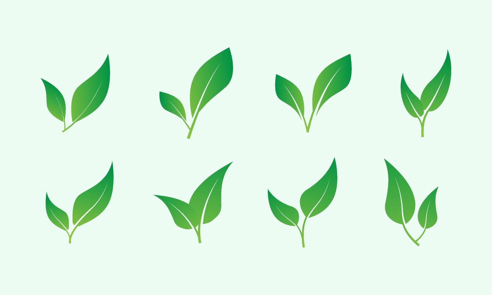 realistic green leaf vector
