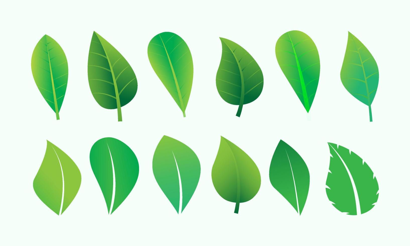 nature green leaves vector
