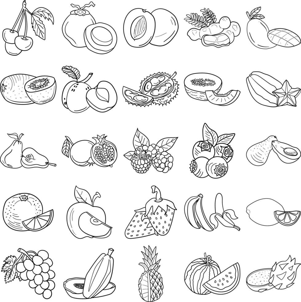 Fruits Hand Drawn Doodle Line Art Outline Set vector