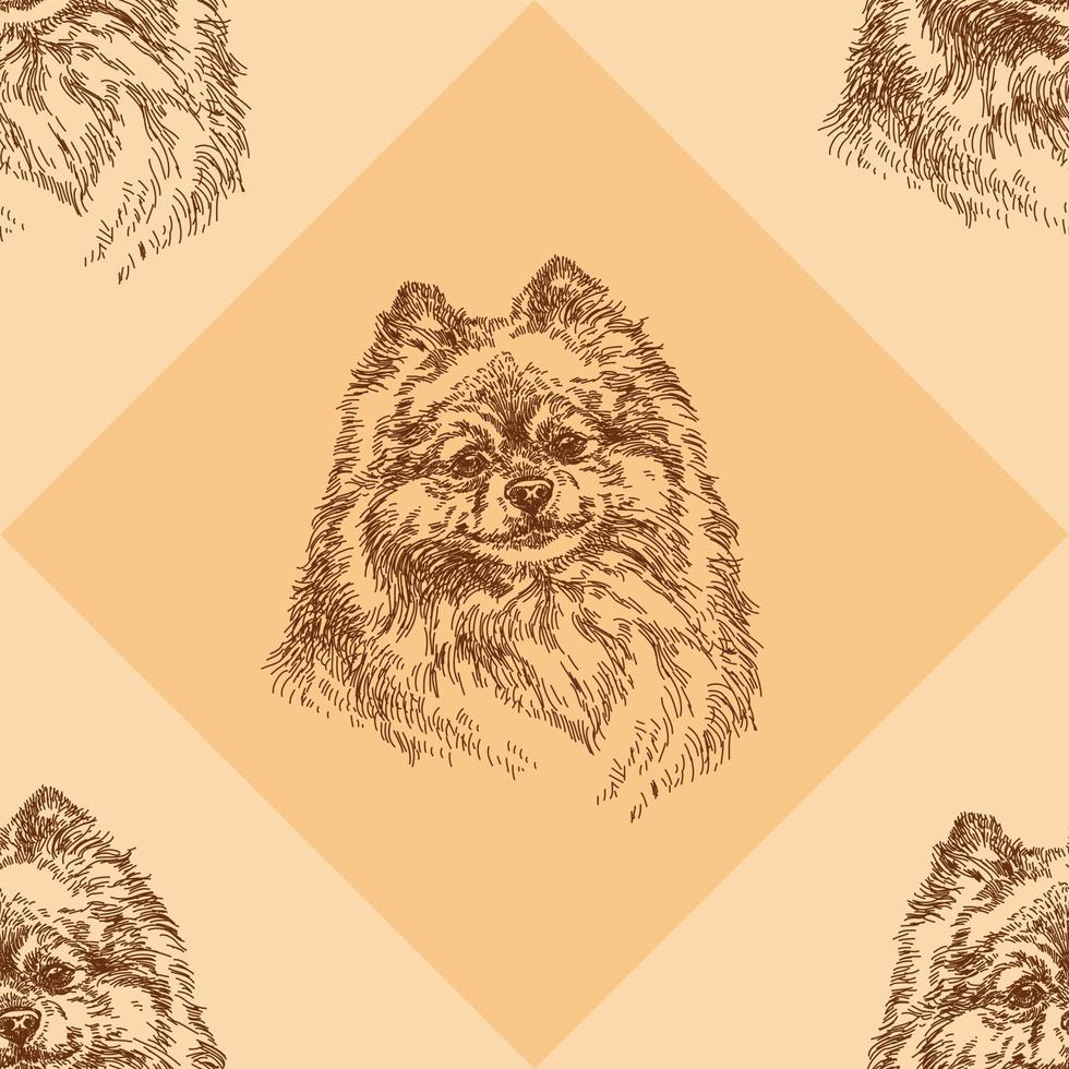 Seamless pattern with small Pomeranian on orange background vector