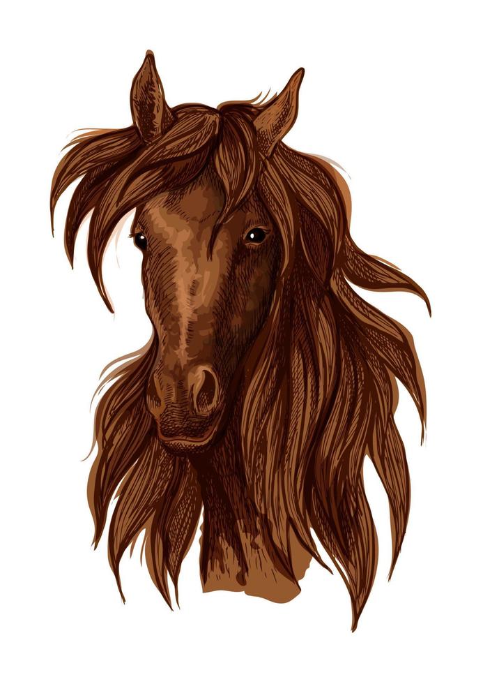 retrato artístico del caballo mustang marrón vector