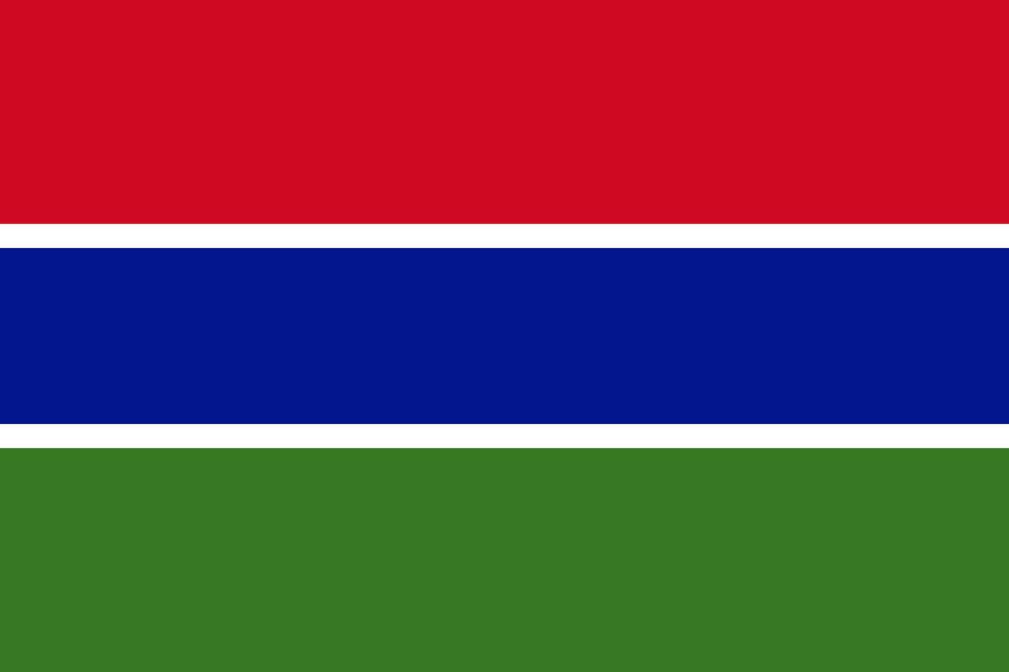 Gambia vector flag. Aftrican country national symbol