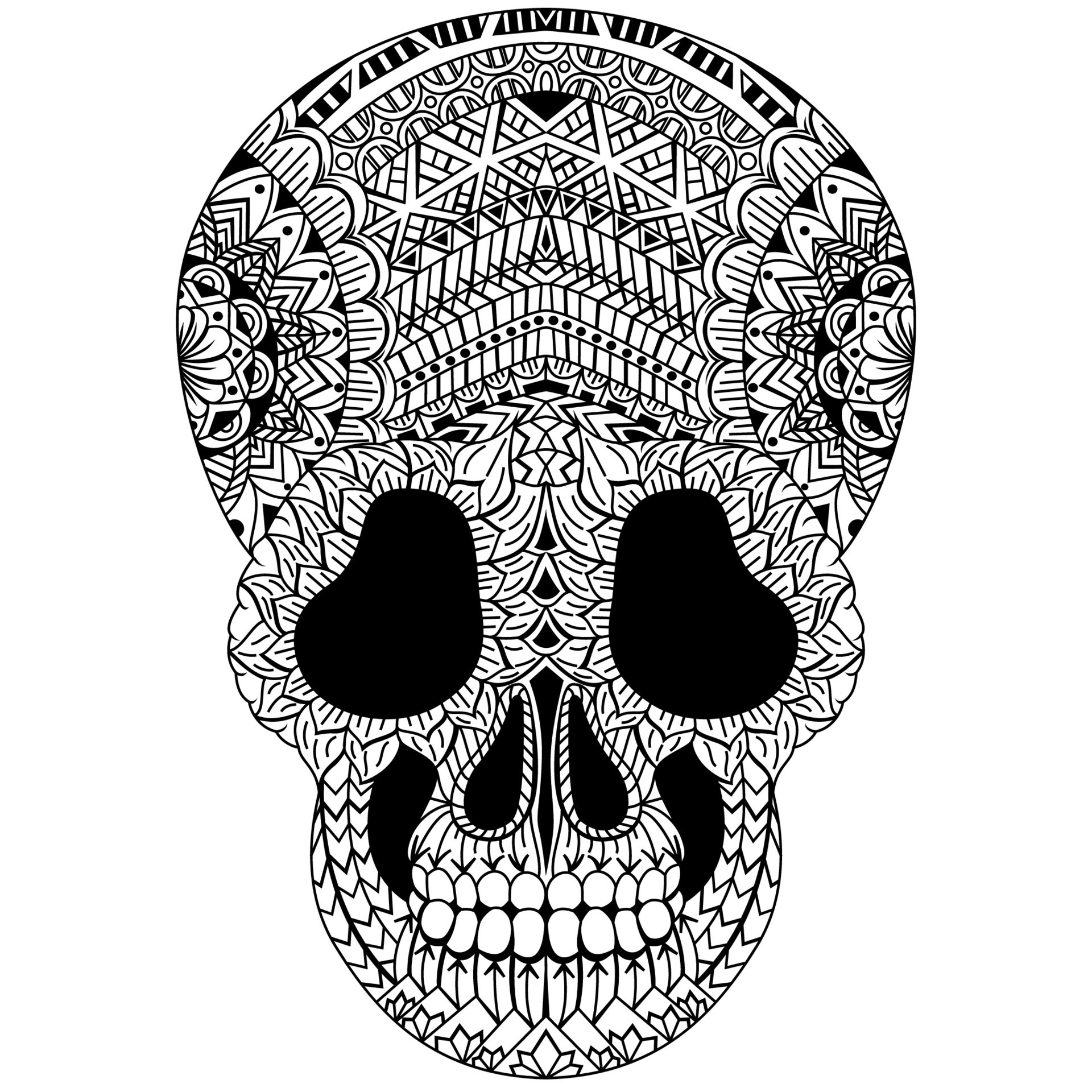 Skull head line art 11736505 Vector Art at Vecteezy