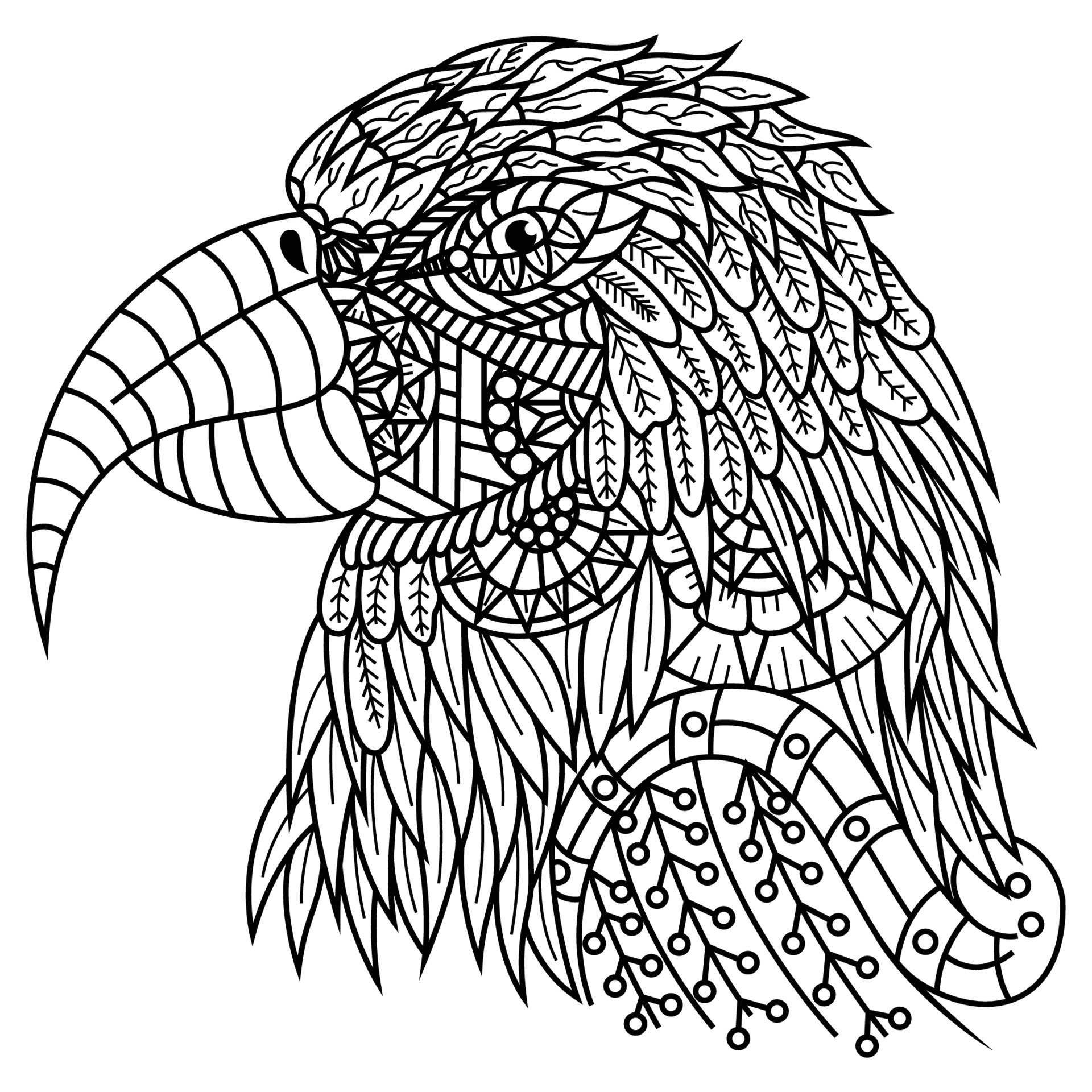 Macaw head line art 11736575 Vector Art at Vecteezy