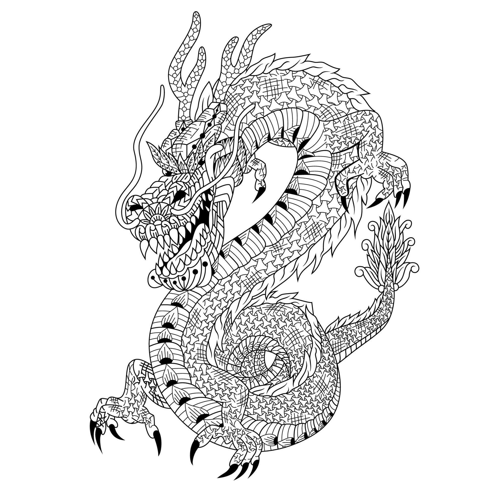 Dragon line art 11736667 Vector Art at Vecteezy