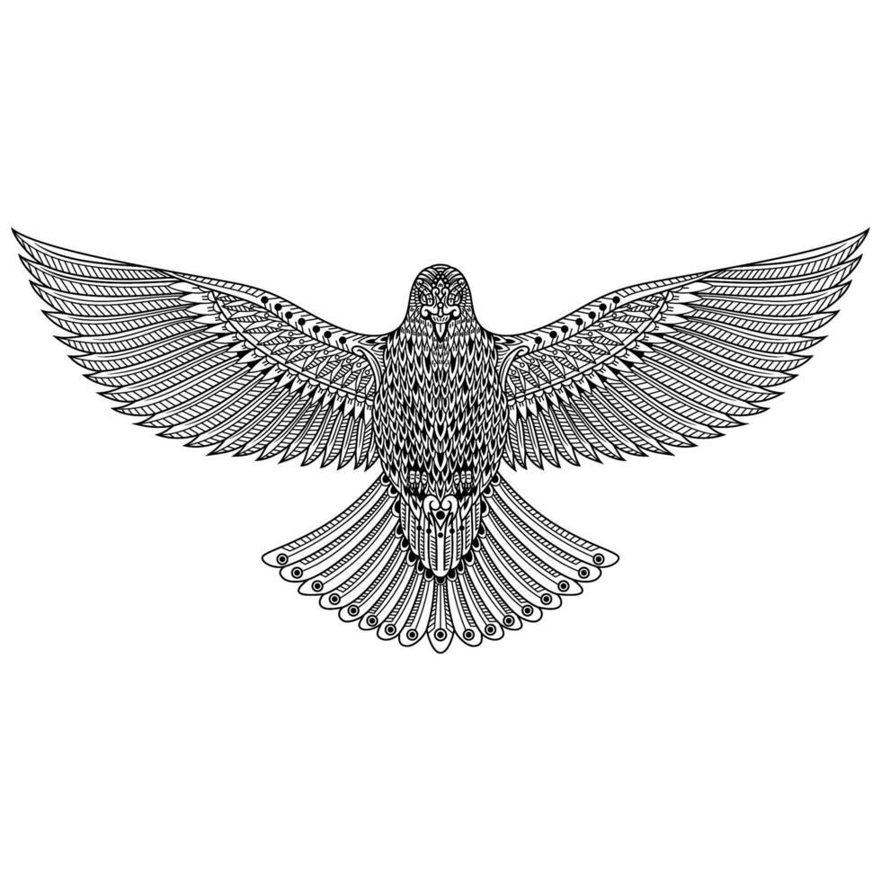 dove bird line art vector