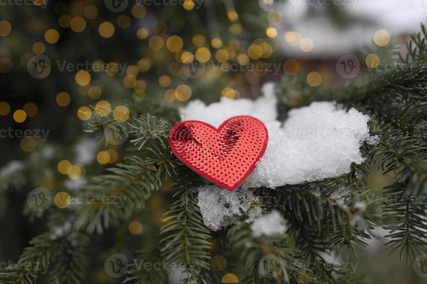 A red heart as a symbol of Valentine's Day lies on the tree with bokeh lights at the background photo