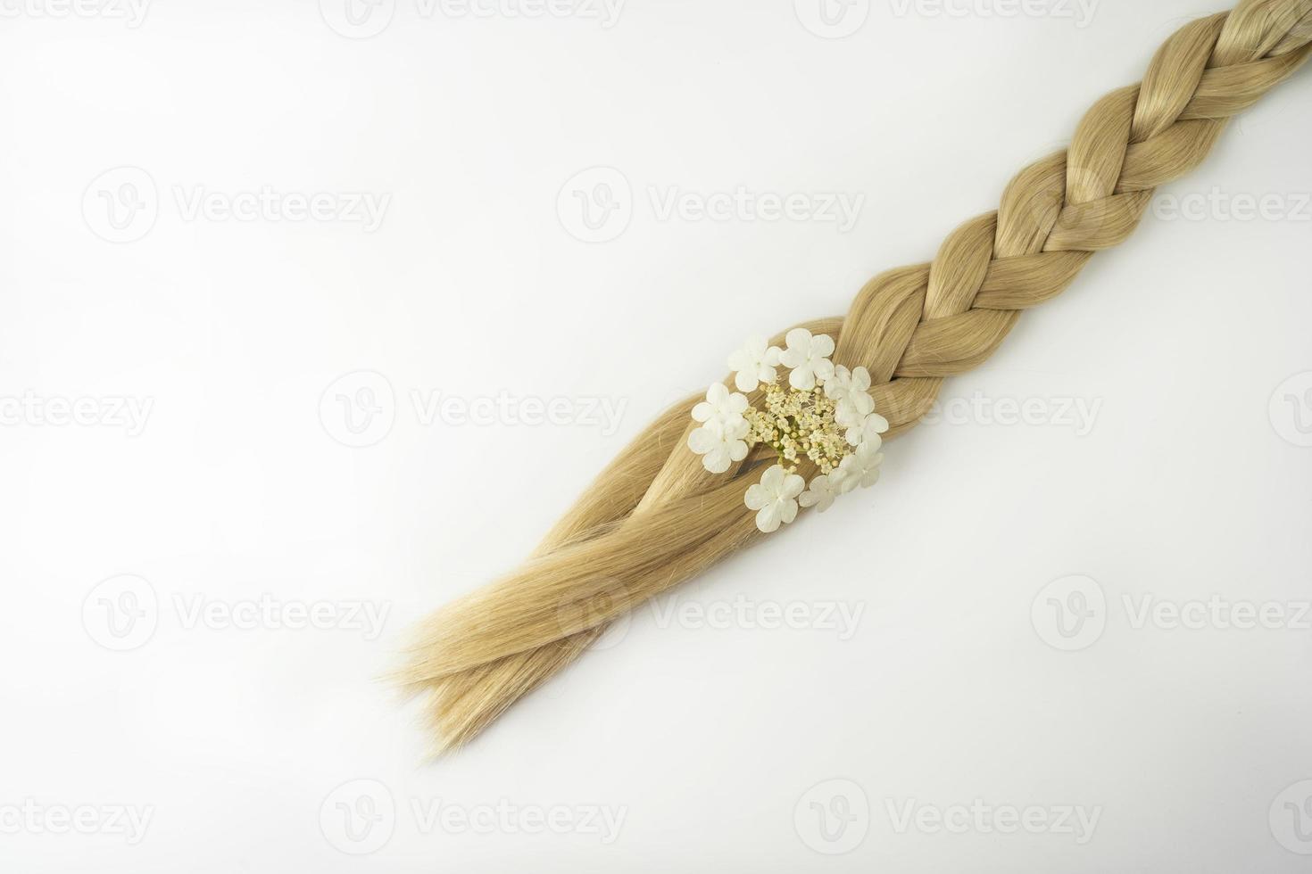 una trenza rubia con una flor blanca sobre ella sobre un fondo blanco foto