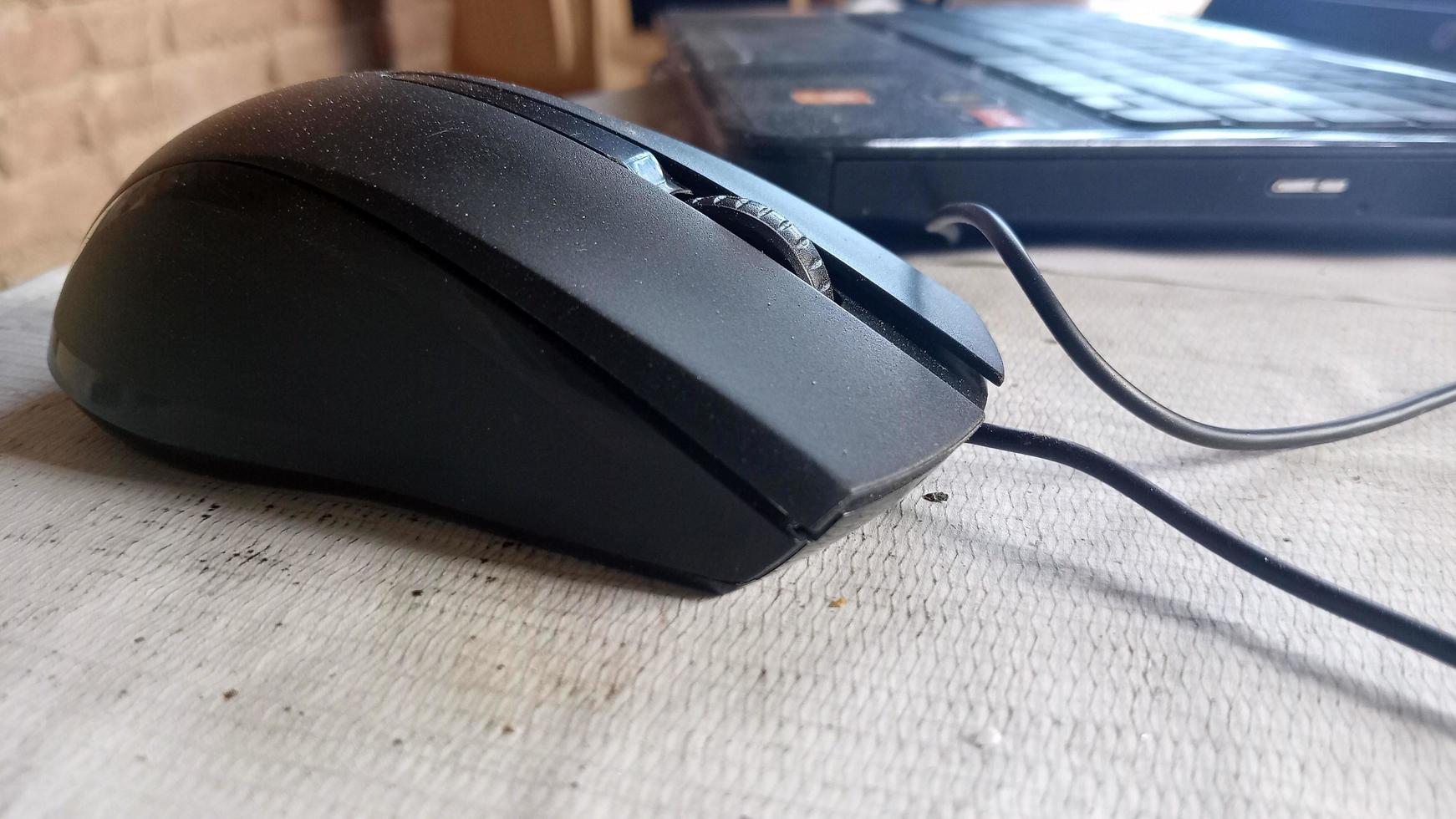 mouse best view from one side photo