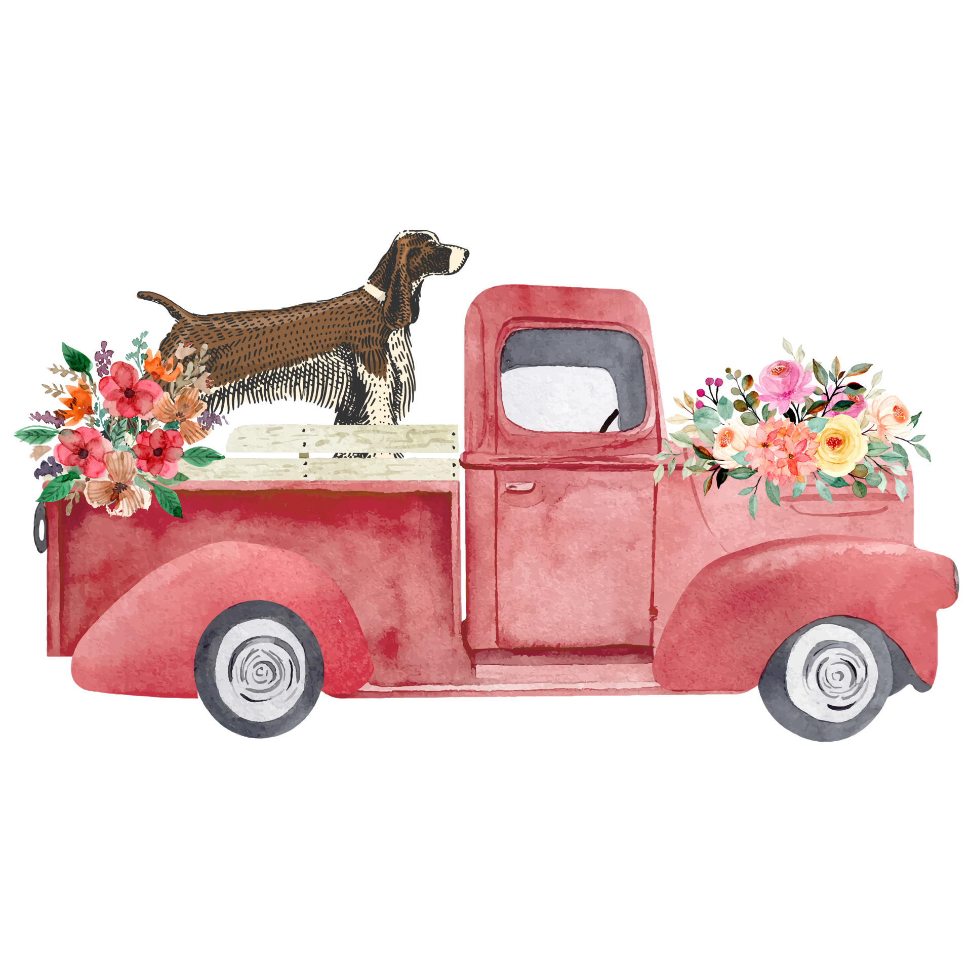 English Springer Spaniel Dog Breed PNG,Old Red Truck Clipart,Vintage