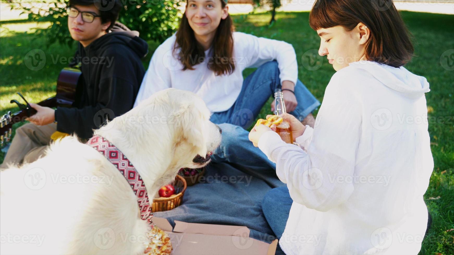 Company of beautiful young people and dog having an outdoor lunch. photo